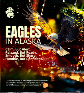 Flyer 3
